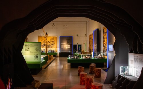 1. sál - pohled jeskyní