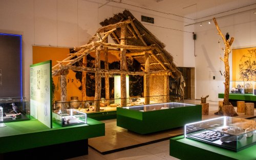 1. sál - průčelí neolitického dlouhého domu